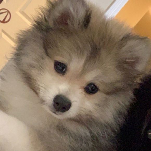 angiebear0571